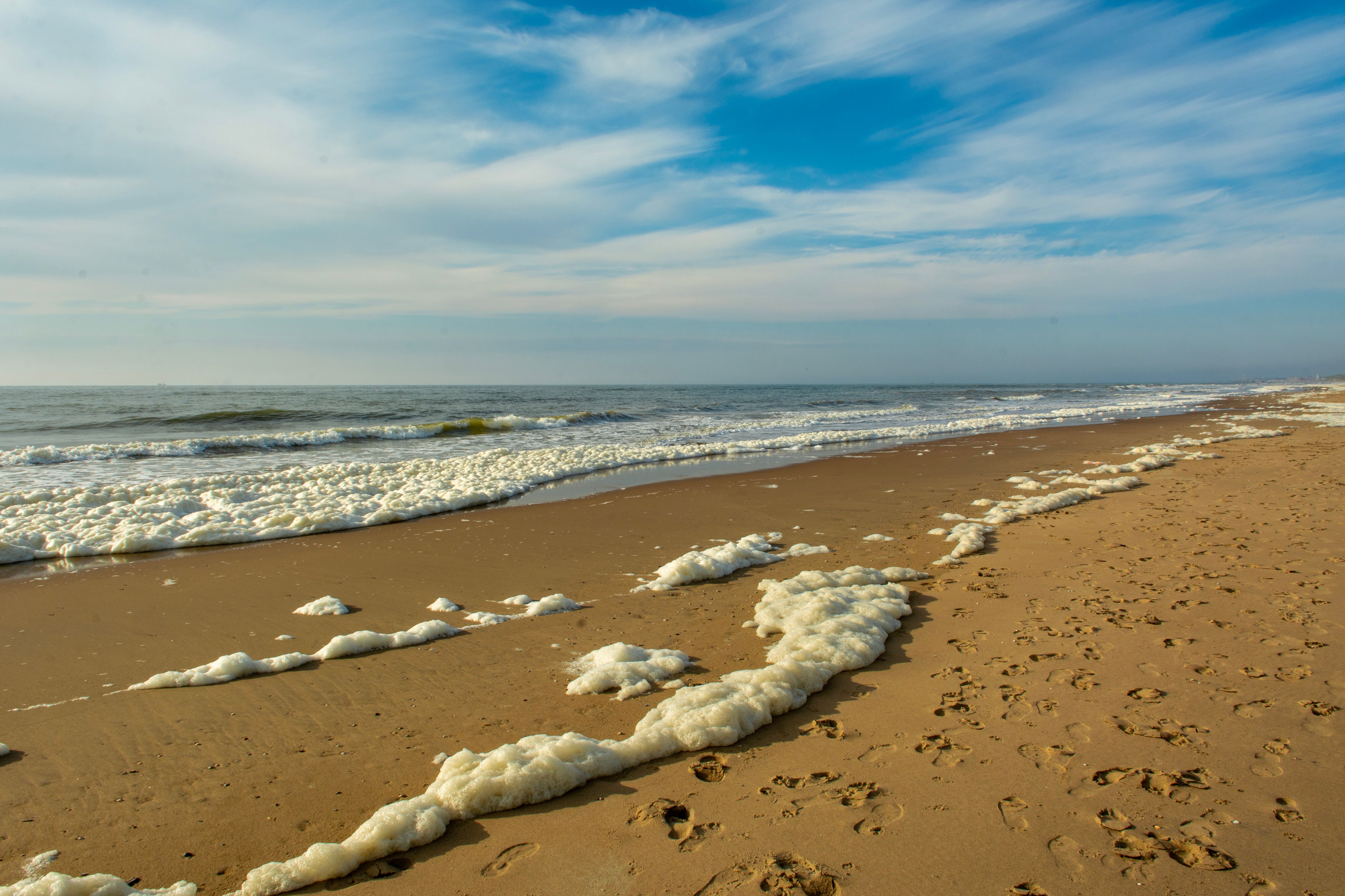 Top Virginia Beach, VA Birthday Freebies With No Purchase Necessary: Safe Entry Guide