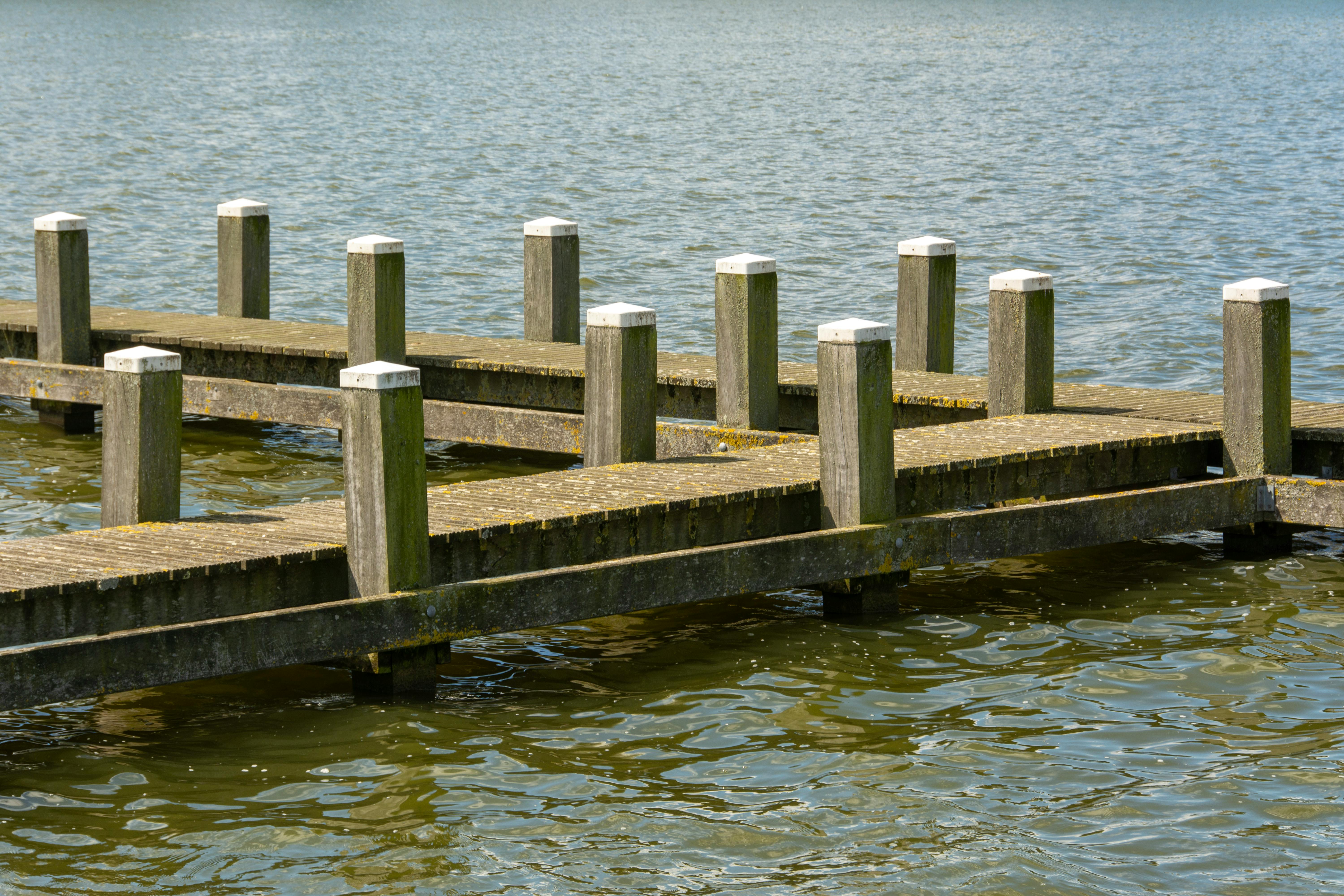 Service orders tackle post maintenance, repair issues — Photo by Jan van der Wolf on Pexels
