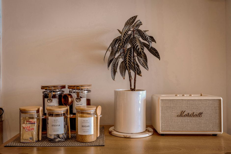 Google Home Speaker on kitchen counter with potted plant