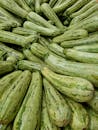 Fresh Green Stripeless Zucchini Harvest
