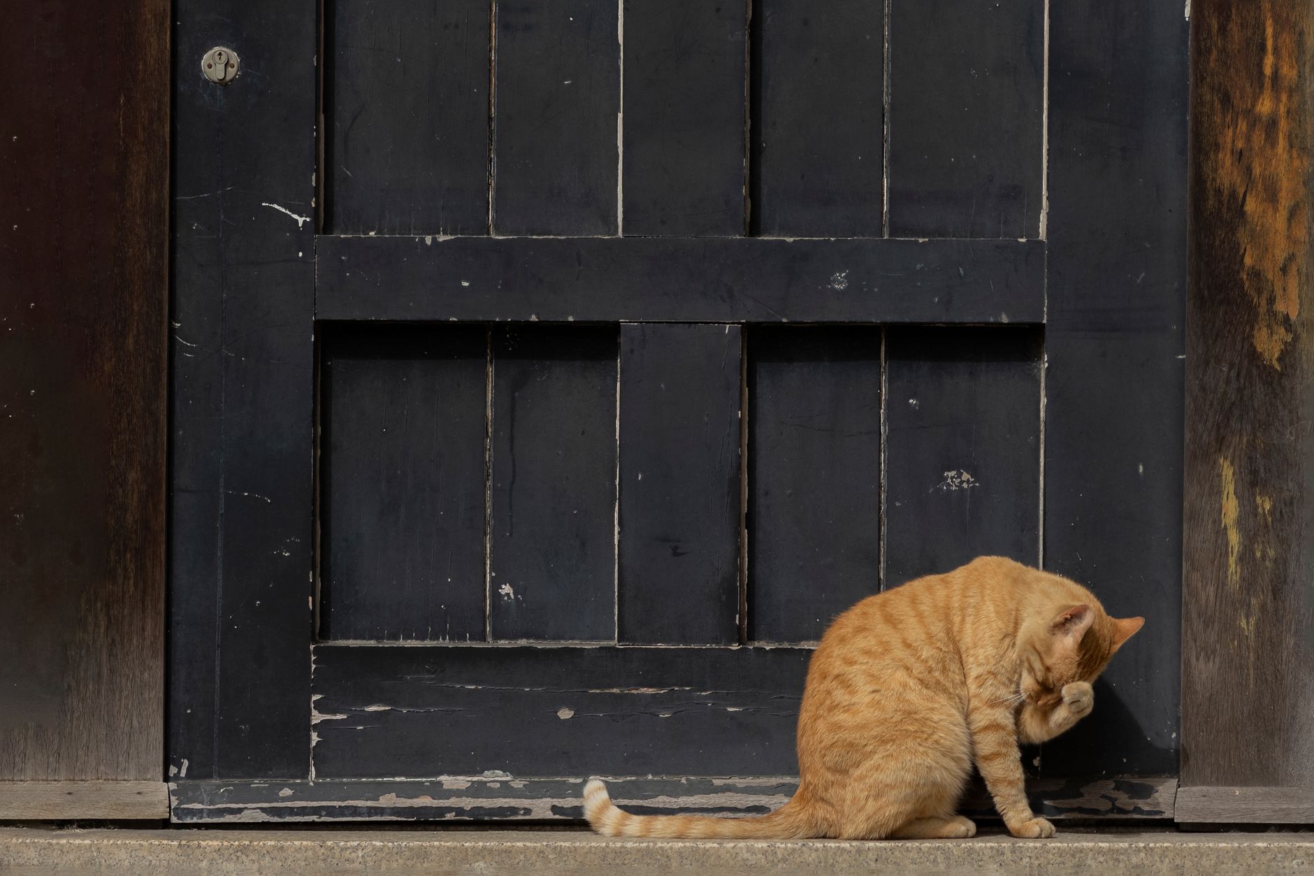 TAMECAT PowerShell-Based Backdoor Exfiltrates Login Credentials from Microsoft Edge and Chrome