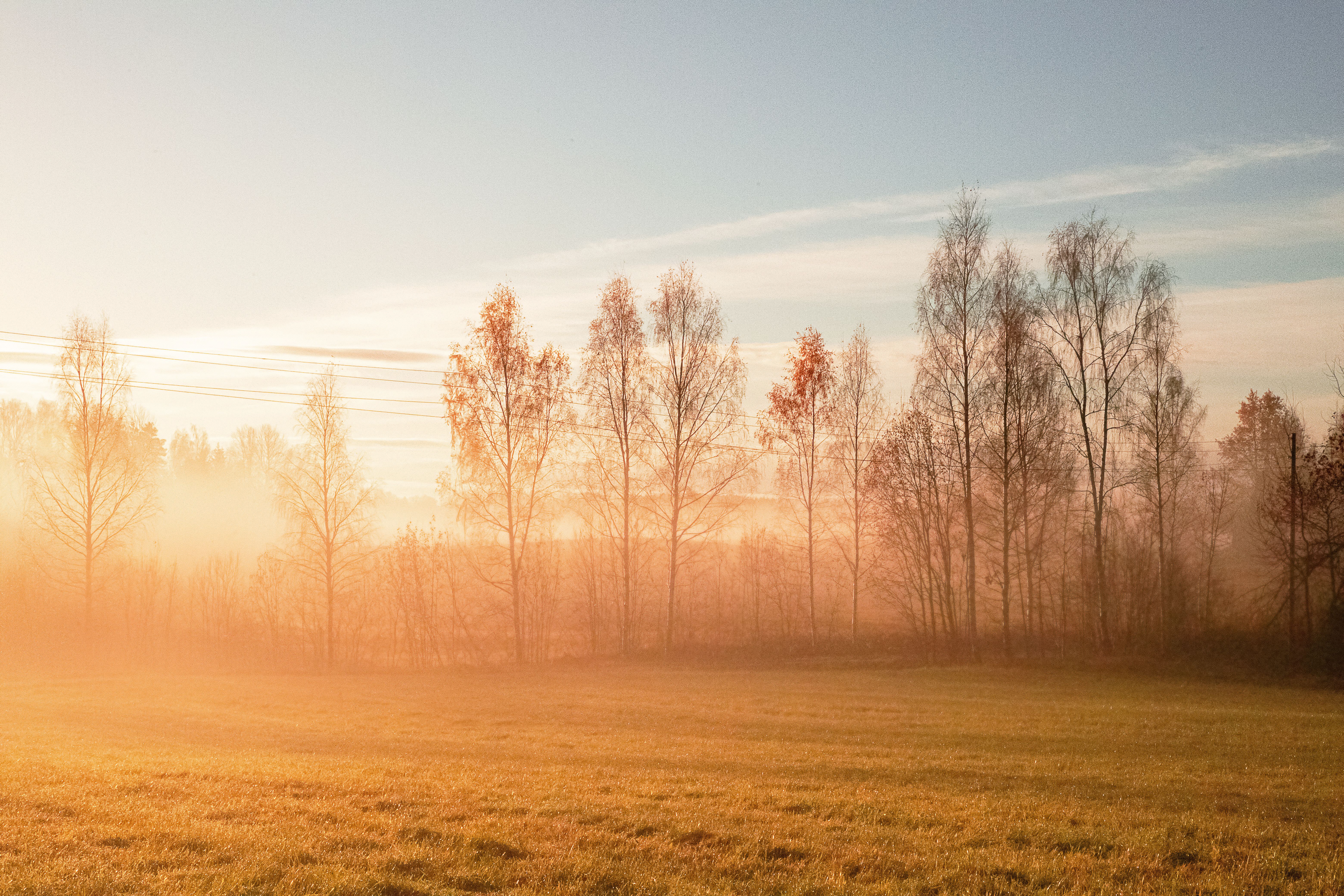 Amanecer Brumoso En La Campiña De Straupe, Letonia · Foto de stock gratuita