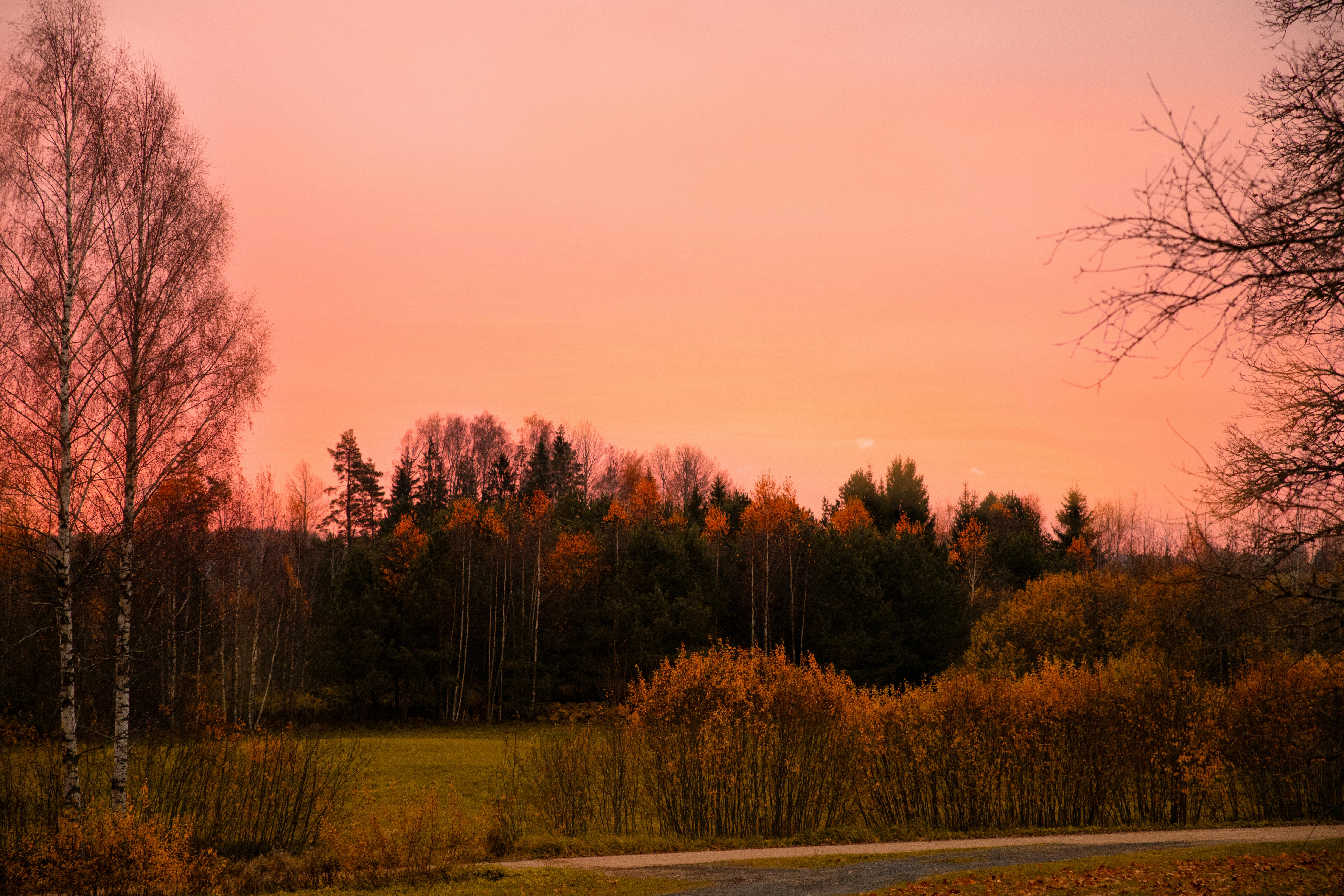 Autumn Sunset Photos, Download The BEST Free Autumn Sunset Stock
