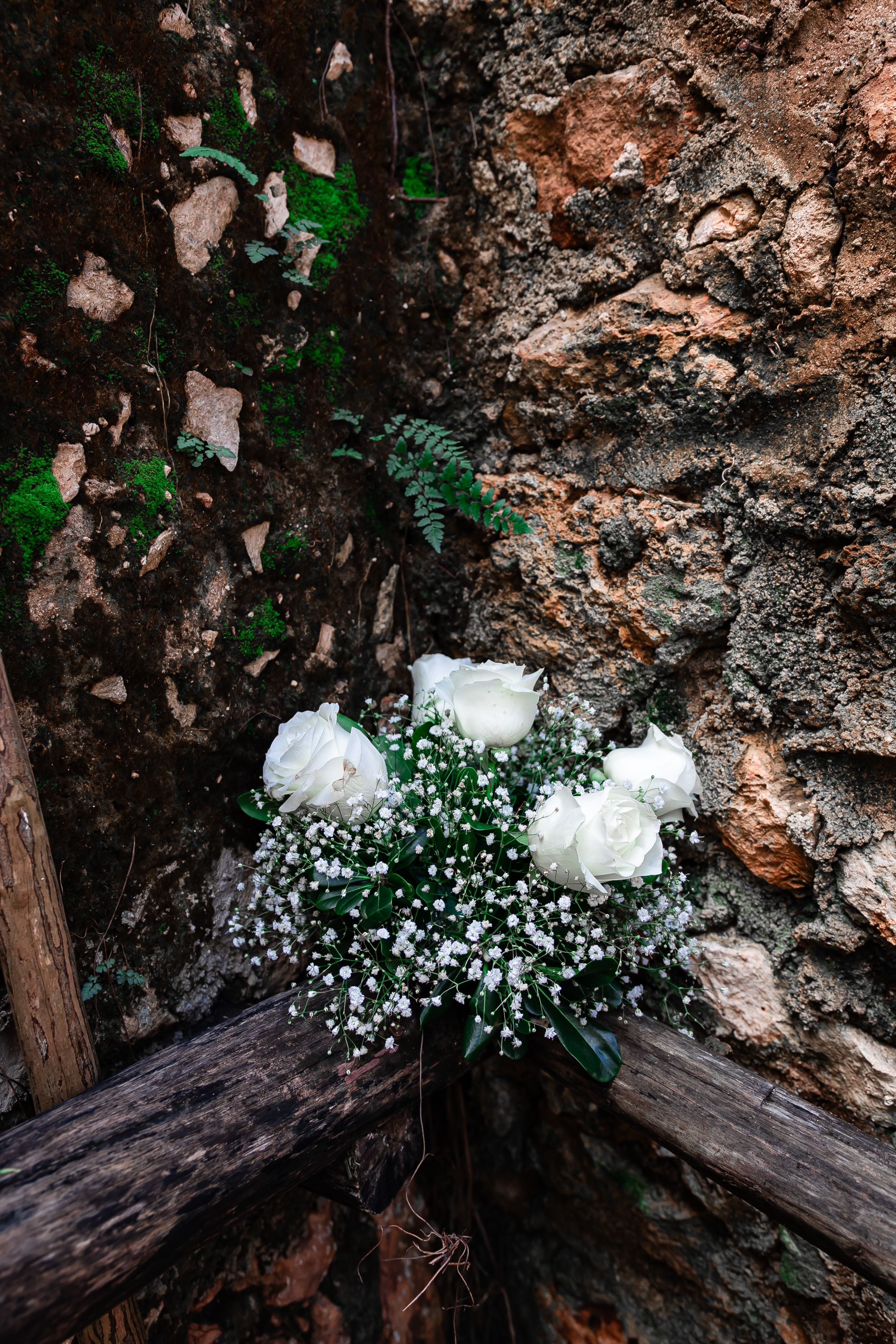 Elegant White Roses Against Rustic Stone Wall · Free Stock Photo