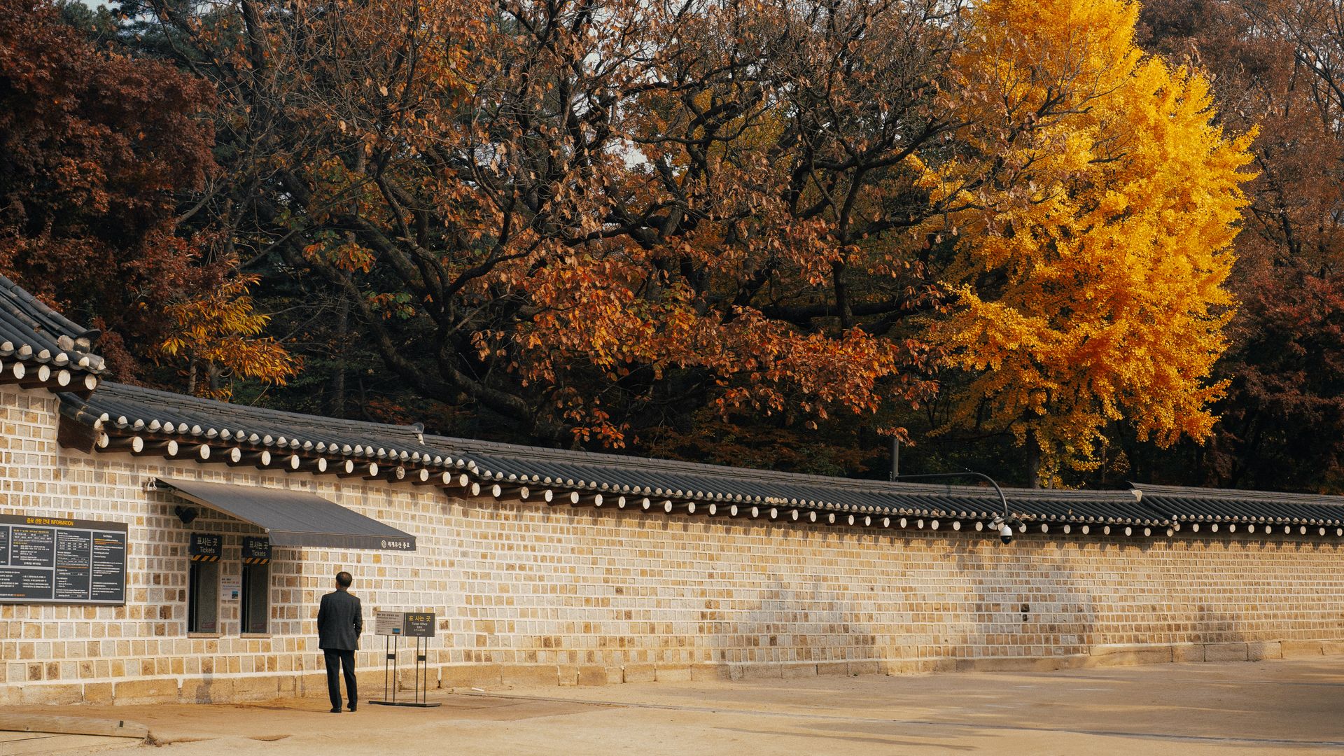 Area heritage Seoul saat foliage season Korea Selatan 2026 untuk foto autumn