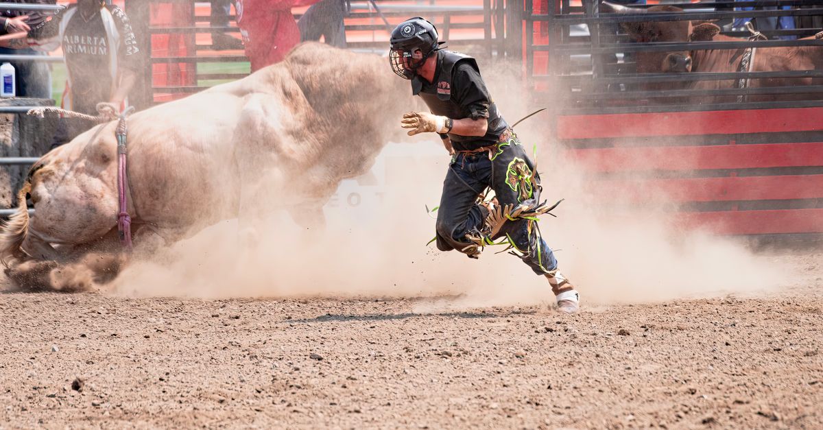 Bull Rider Rodeo Photos Daring Rodeo Bull Rider Escapes Thrilling Dust · Free Stock Photo