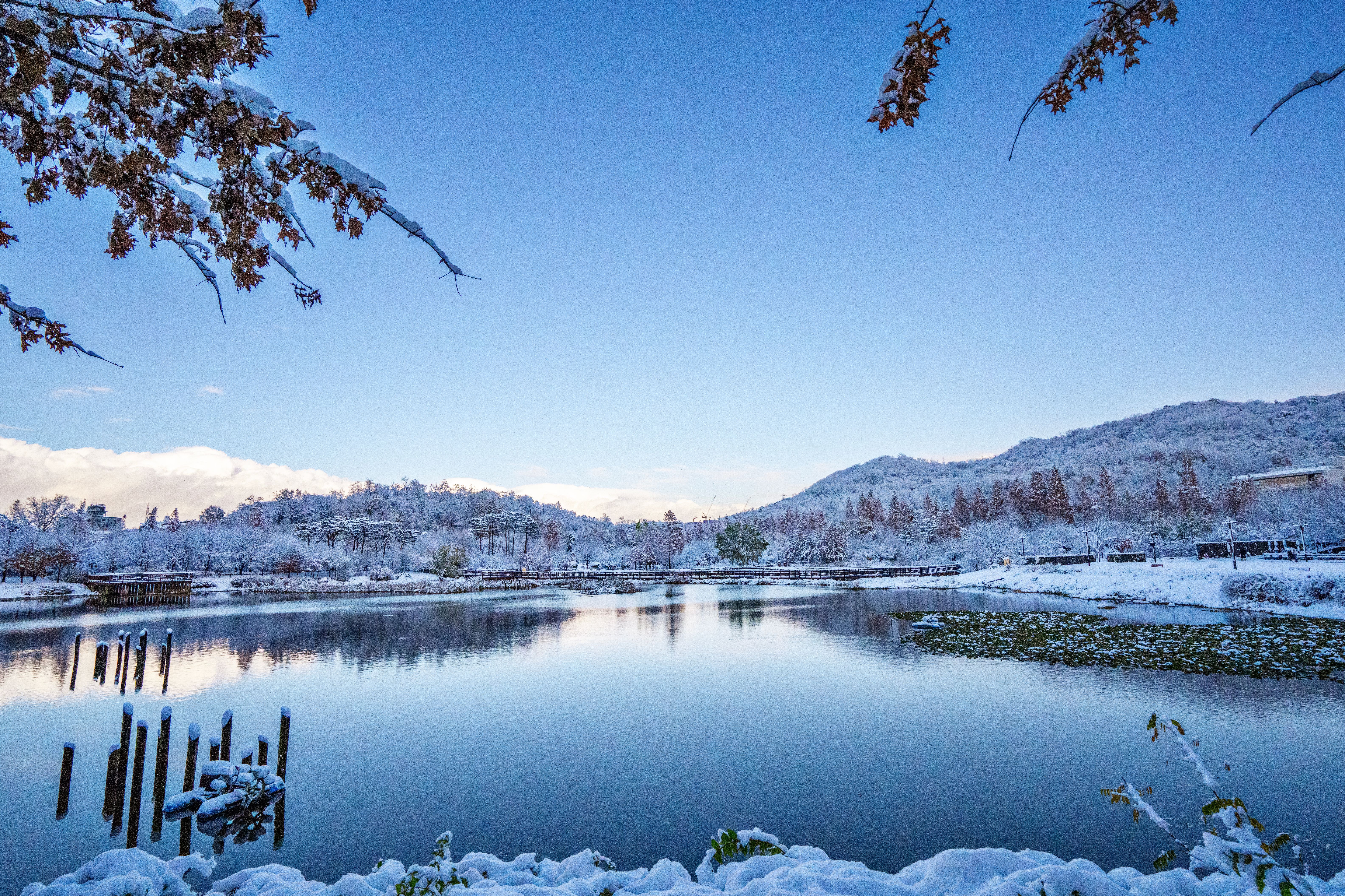 Surviving Seoul’s Extreme Seasons in Hyehwa: A 10-Year Expat’s Brutally Honest Guide