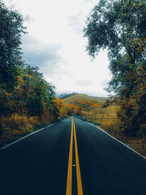 Free A picturesque road stretches through a verdant countryside, framed by lush trees under a clouded sky. Stock Photo