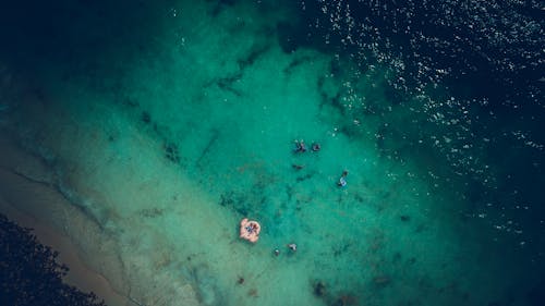 Drone Footage of a Beach