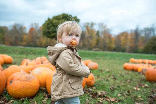 Make Memories at a Kid-Friendly Fall Festival
