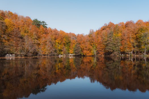 Captivating autumn scenery with vibrant foliage reflected in a tranquil lake at Yedigöller National Park, Türkiye.