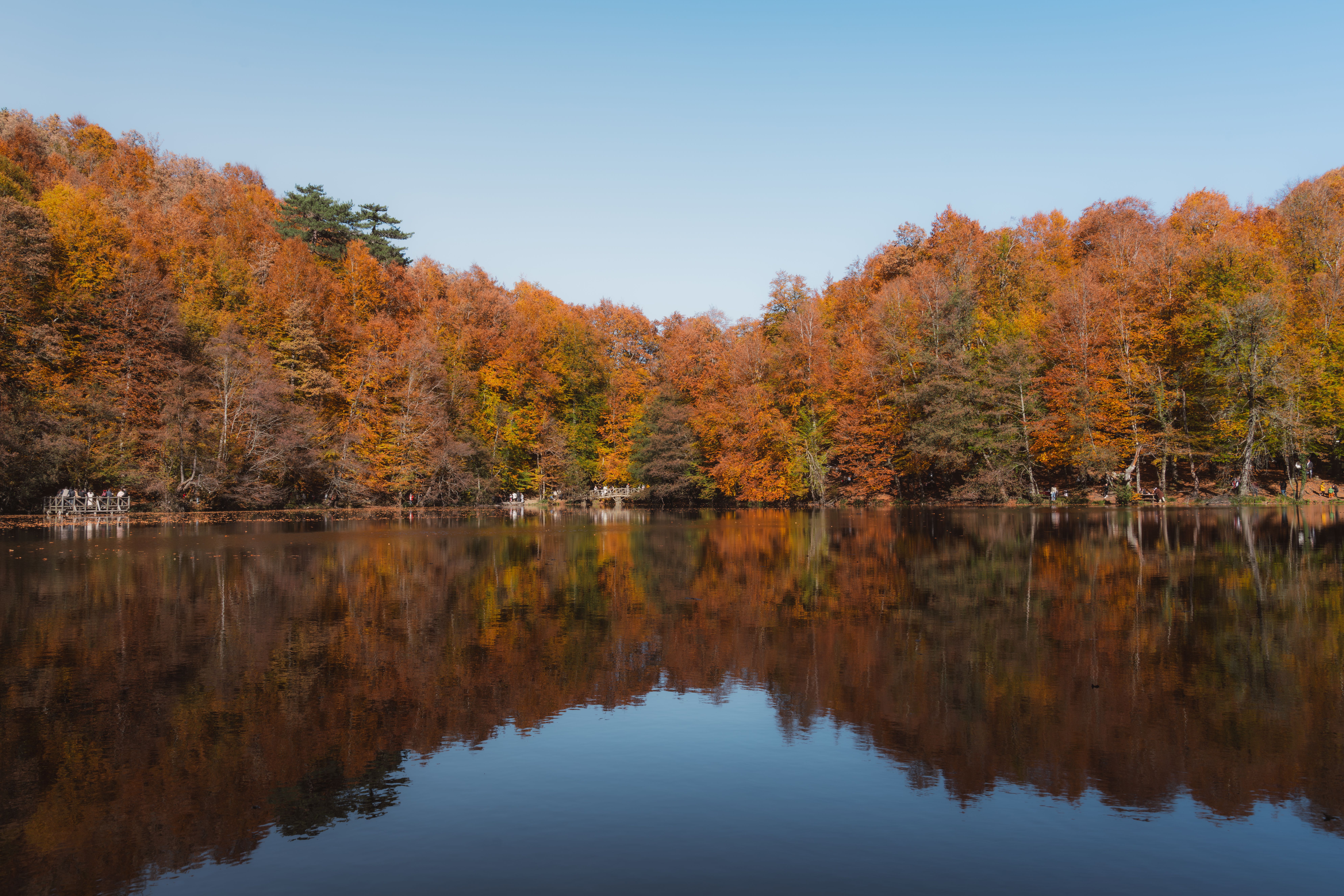 Stunning Autumn Forest Reflected in a Lake · Free Stock Photo