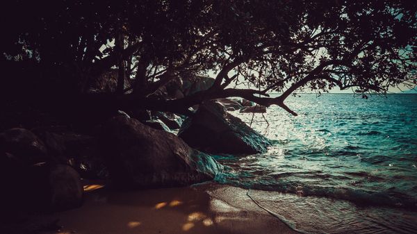 Seychelles Paradise – Islands & Beaches - Destinations