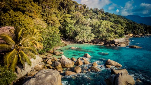 Scenic View Of Seashore During Daytime