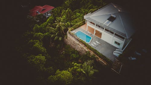 白色和灰色的房子，游泳池被植被包圍