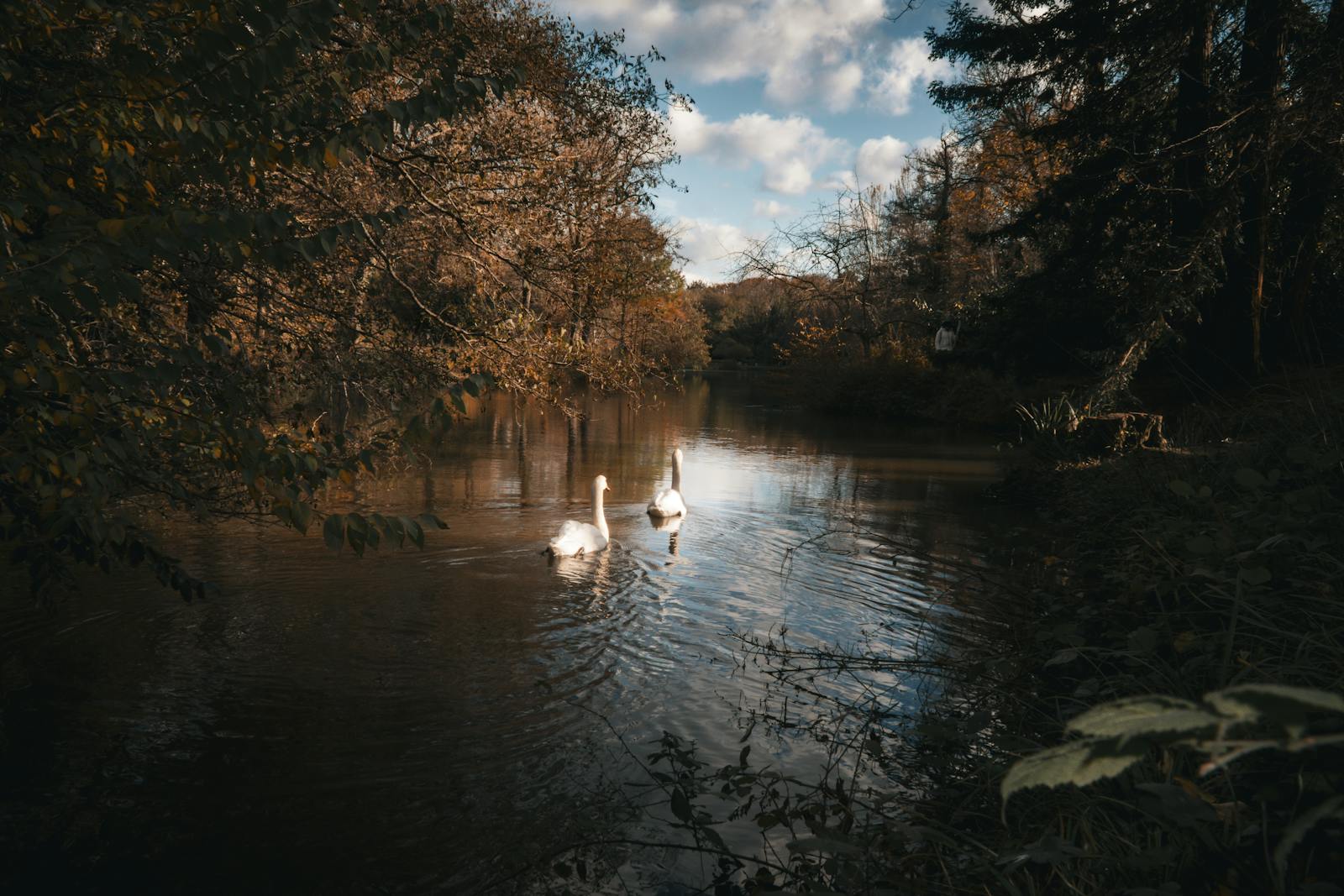 Free Welcome Photos, Download The BEST Free Free Welcome Stock Photos ...