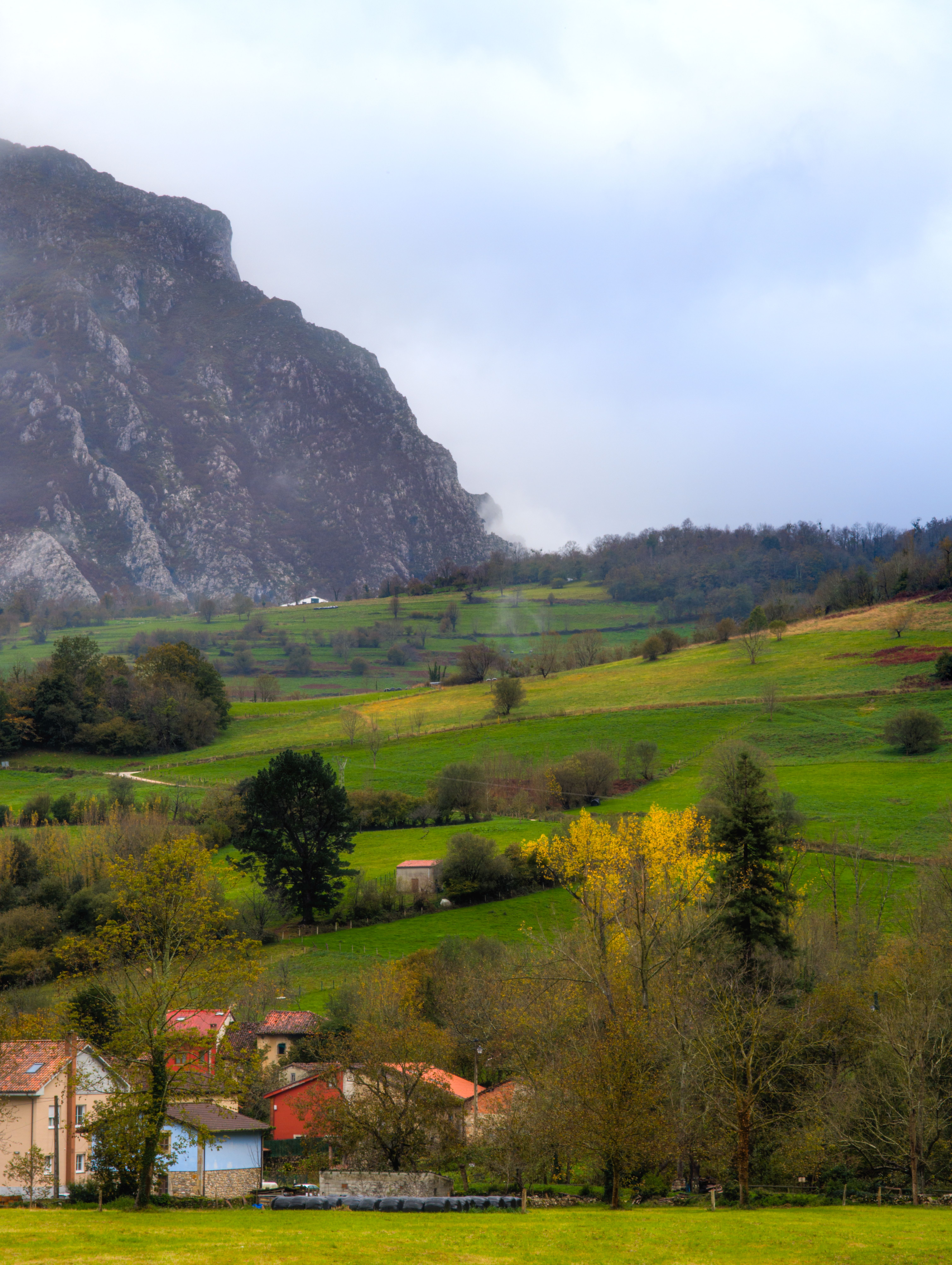 Serene Rural Landscape in Asturias, Spain · Free Stock Photo