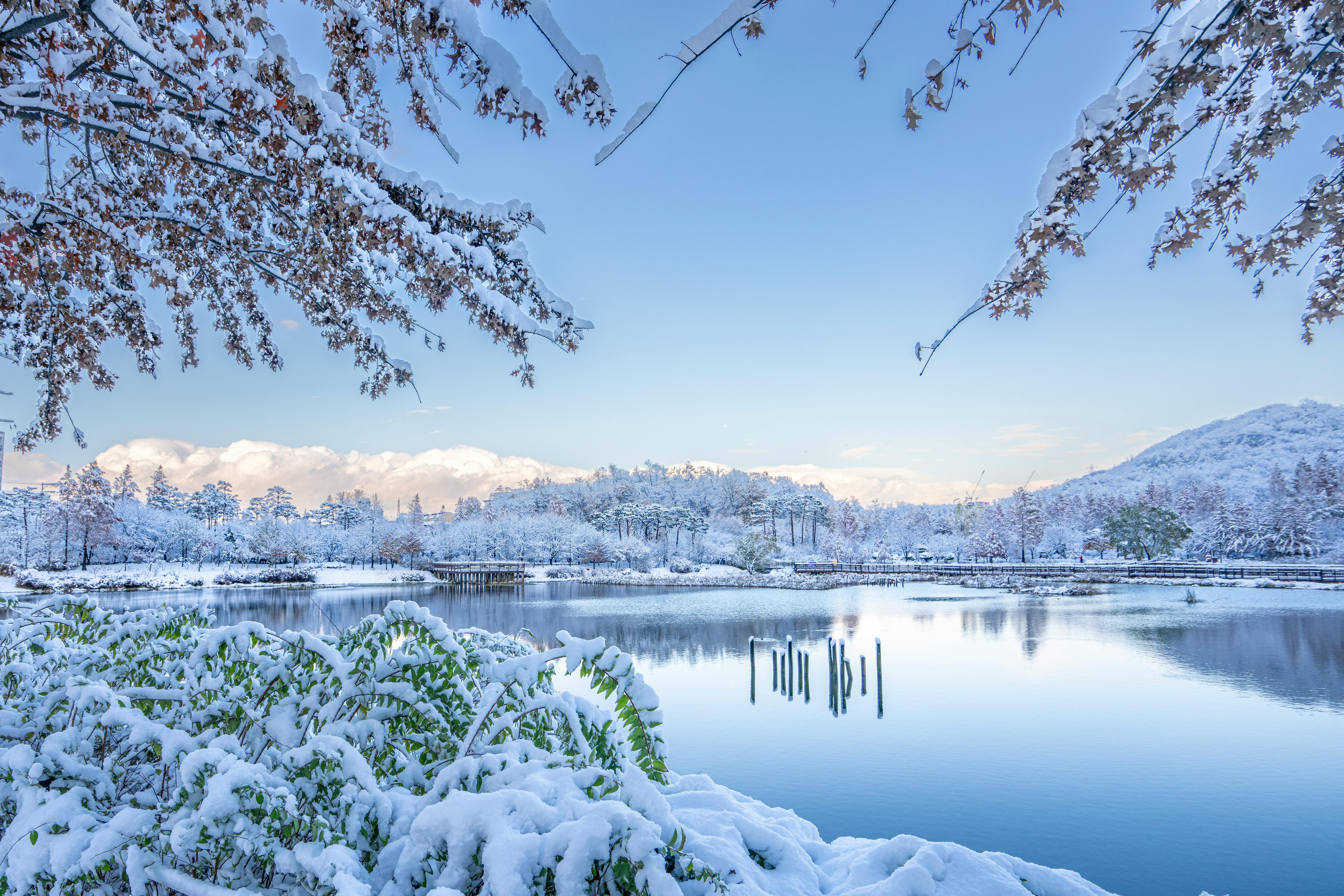 Tranquil Winter Landscape in Seoul · Free Stock Photo