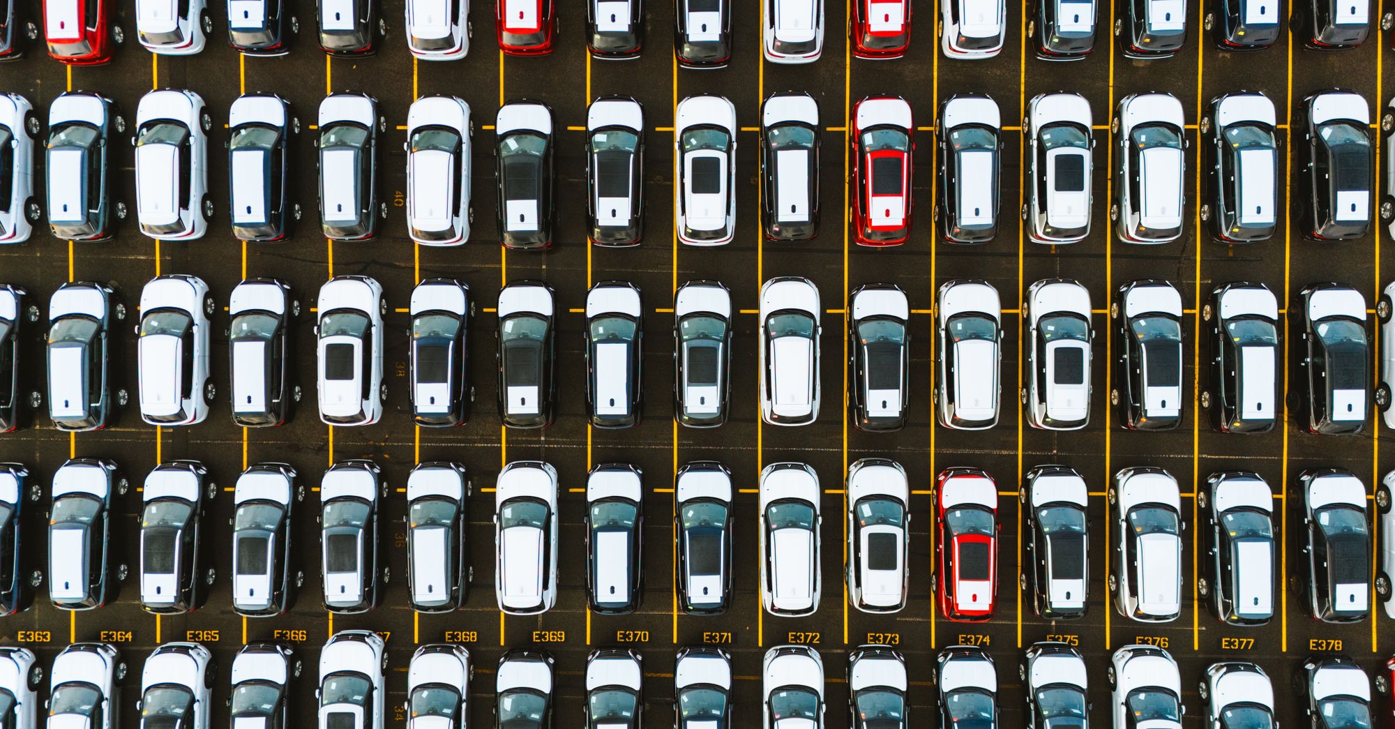 MyMonthlyCar Targets $300K First-Year Revenue With Used-Car Rental Model