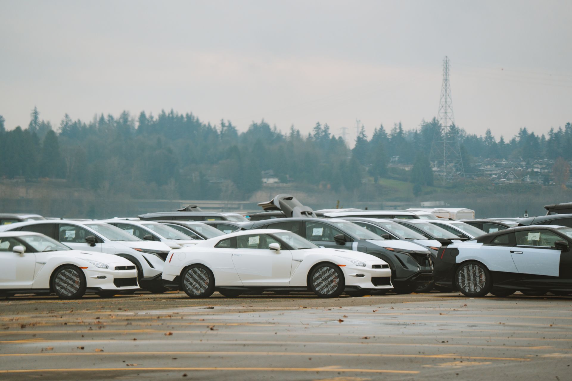 Bir bayide sıralanmış ikinci el otomobiller