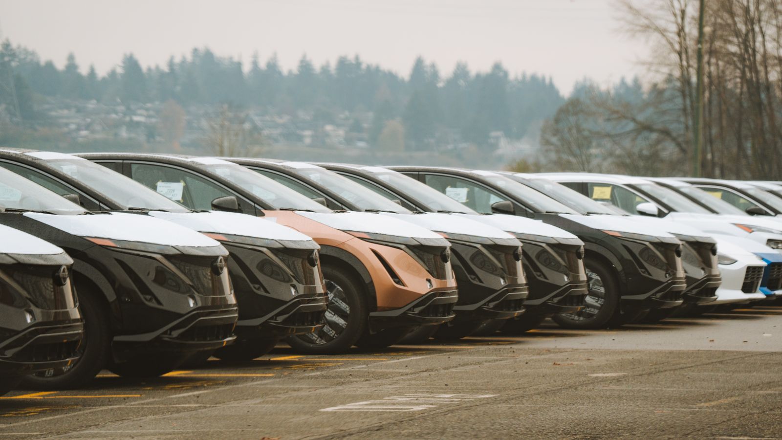 Airbnb's New Car Rental Tie-Up Hints at a Bigger Loyalty Play