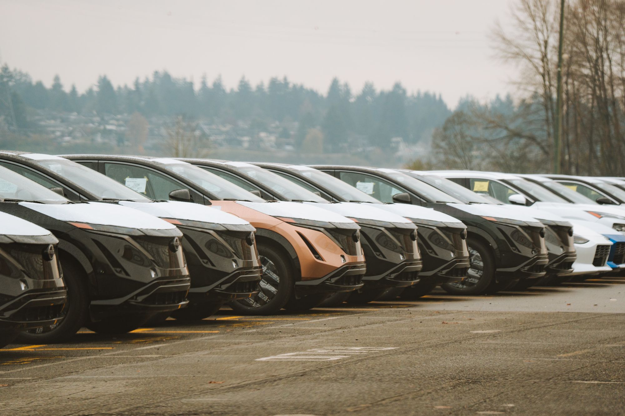 Rows of sleek electric vehicles at what appears to be a dealership lot best fits the EV import and emerging-market adoption&hellip;