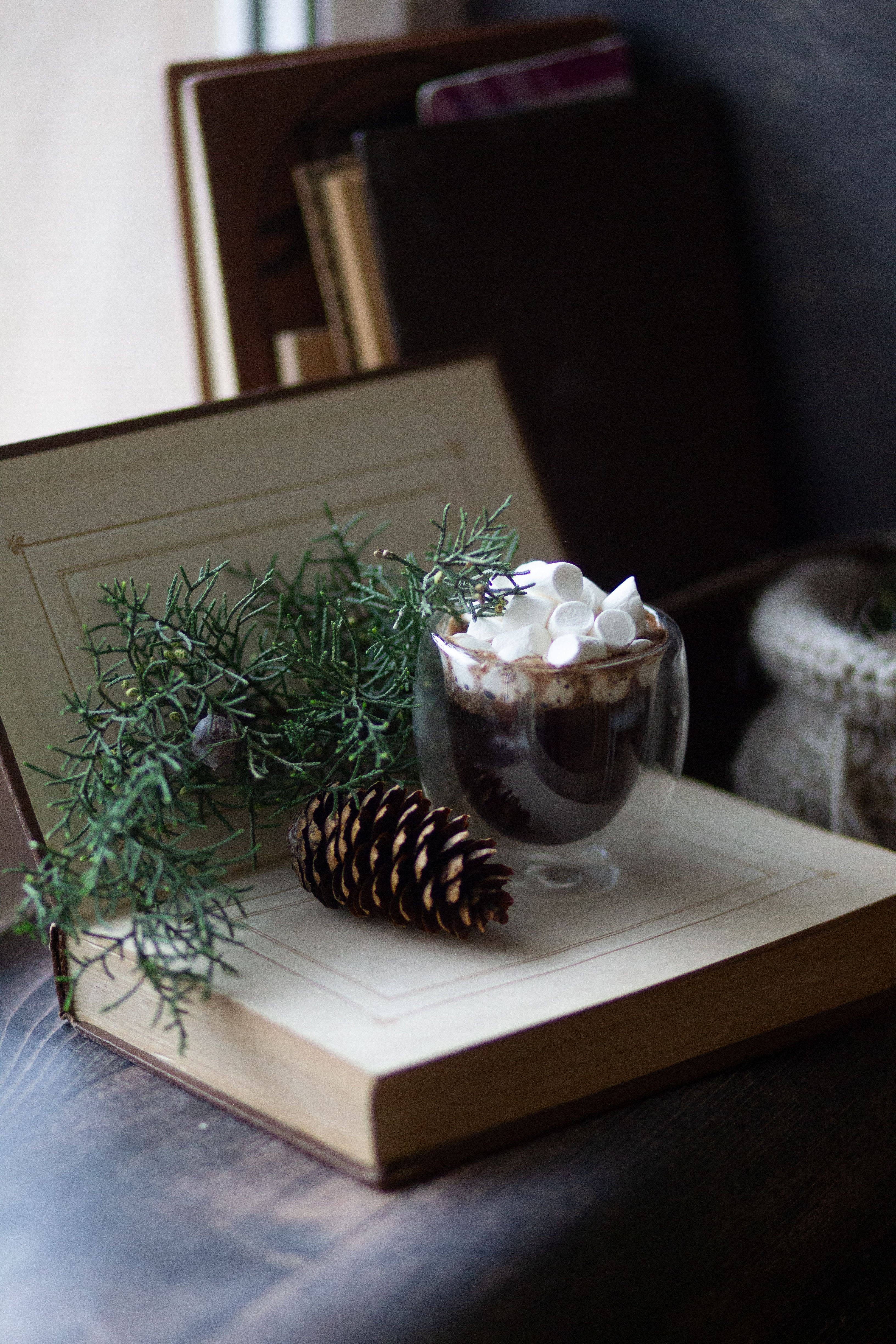 2 Books Cooking 40 Gourmet Hot Chocolate & Coffee Lovers Mix Recipes