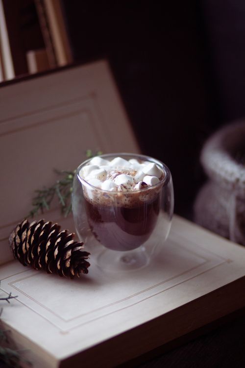 Free Warm hot chocolate topped with marshmallows beside a pinecone, perfect for winter vibes. Stock Photo