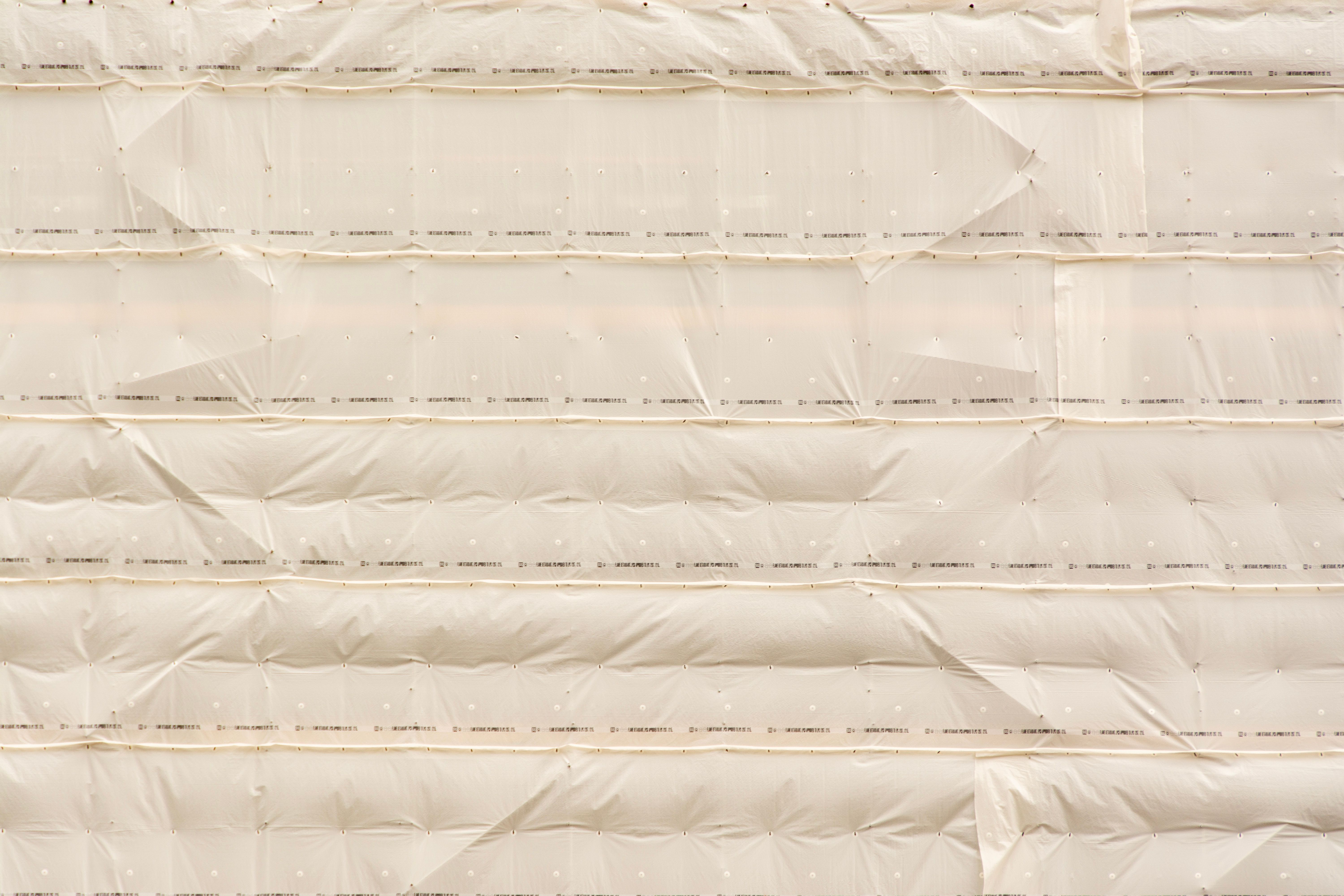 Takeley — professional packers wrapping and boxing belongings