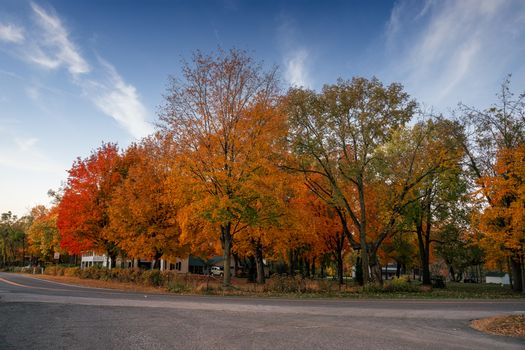 Vibrant fall foliage lining a quiet road in scenic Frontenac, Minnesota.