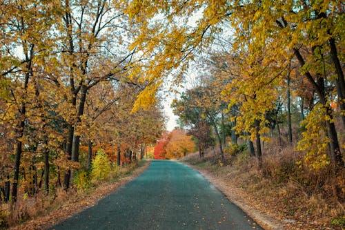 Midwest Fall Color Escapes To Plan This Year