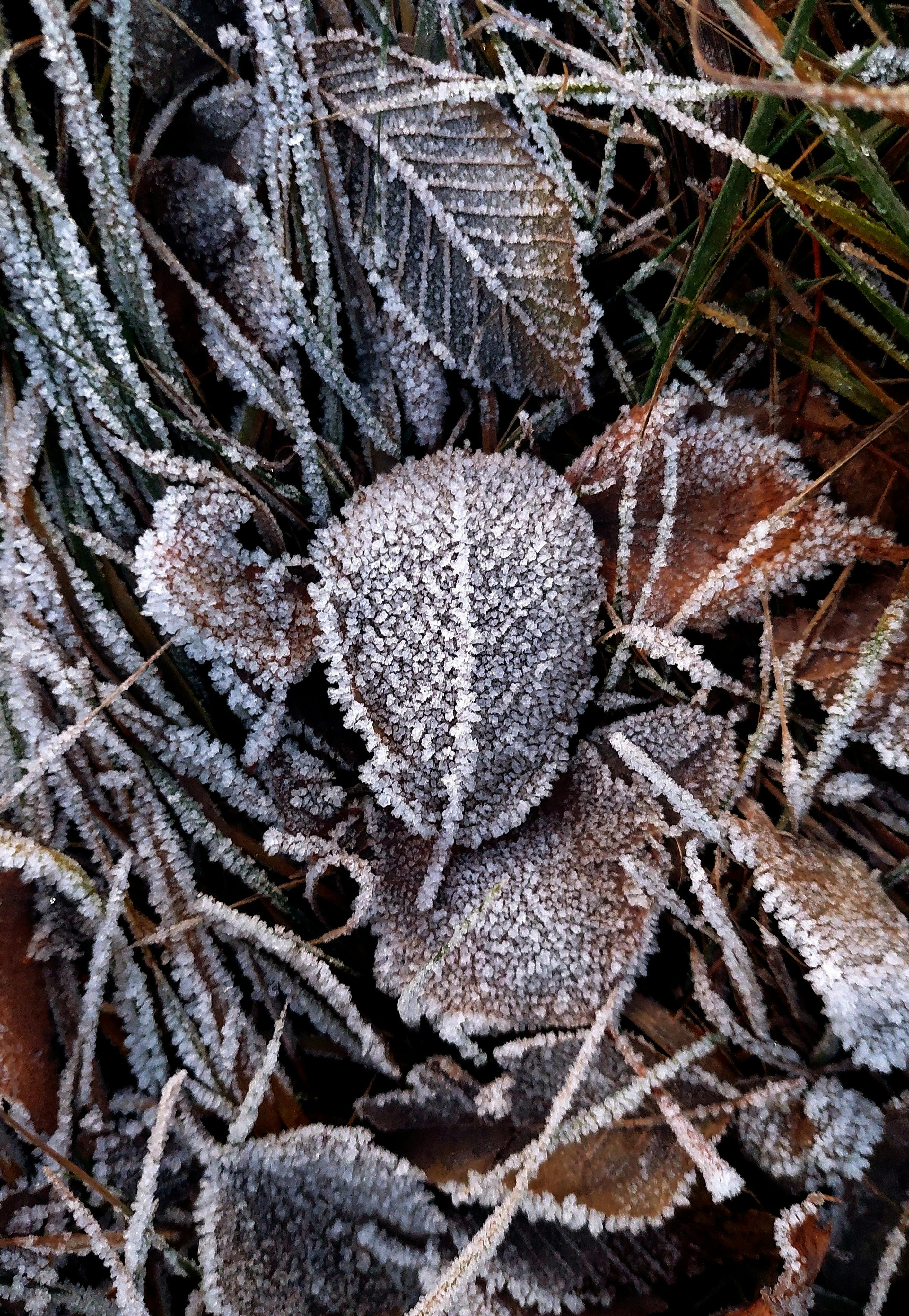Noiembrie începe cu vreme caldă de toamnă, dar frigul vine din a doua jumătate a lunii