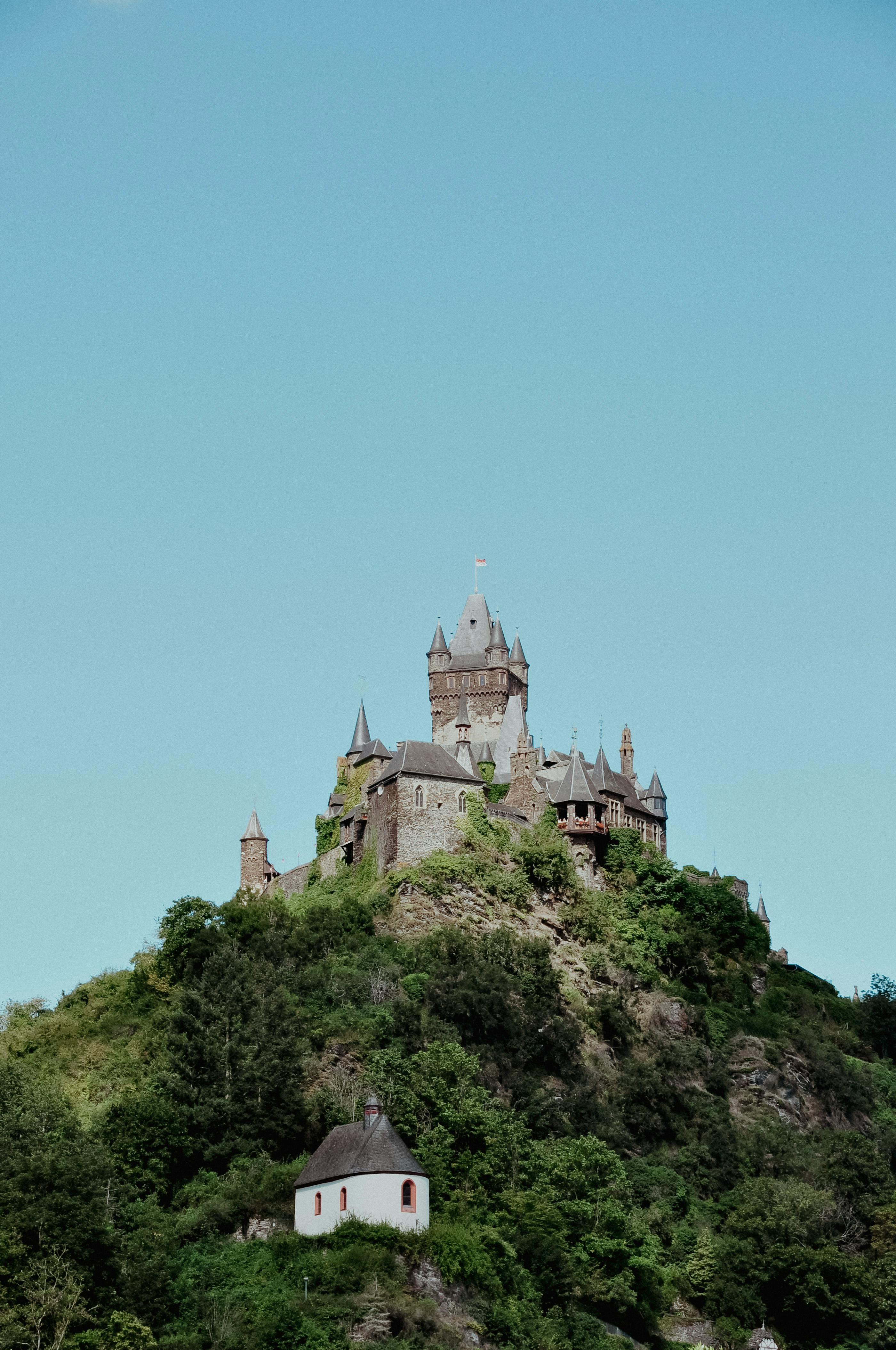 historic castle on hill in summer landscape