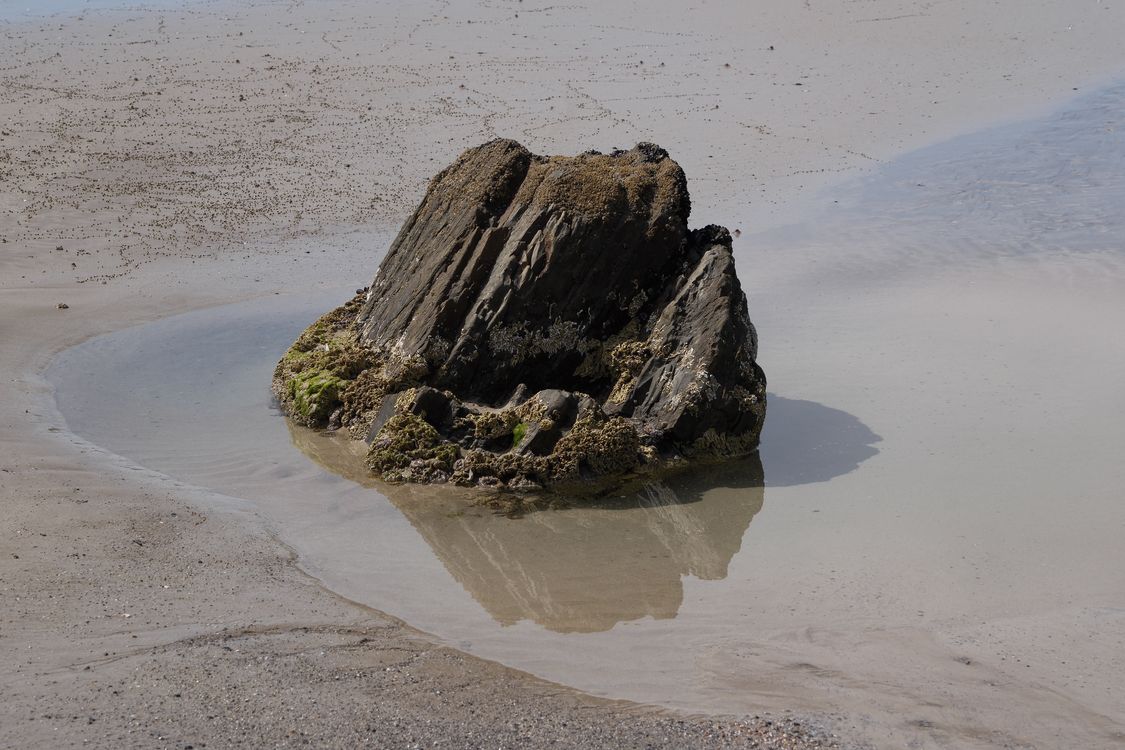 Tidal Rocks Isolated Rock Formation in Tidal Pool on Beach · Free Stock Photo