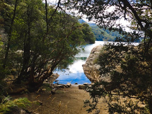 Foto d'estoc gratuïta de Argentina, aventura, cel