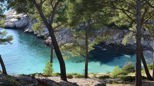 Free Idyllic coastal view in Cassis, France with turquoise waters and pine trees. Stock Photo