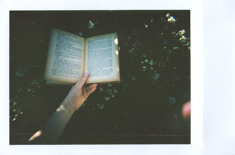 Person Holding Book