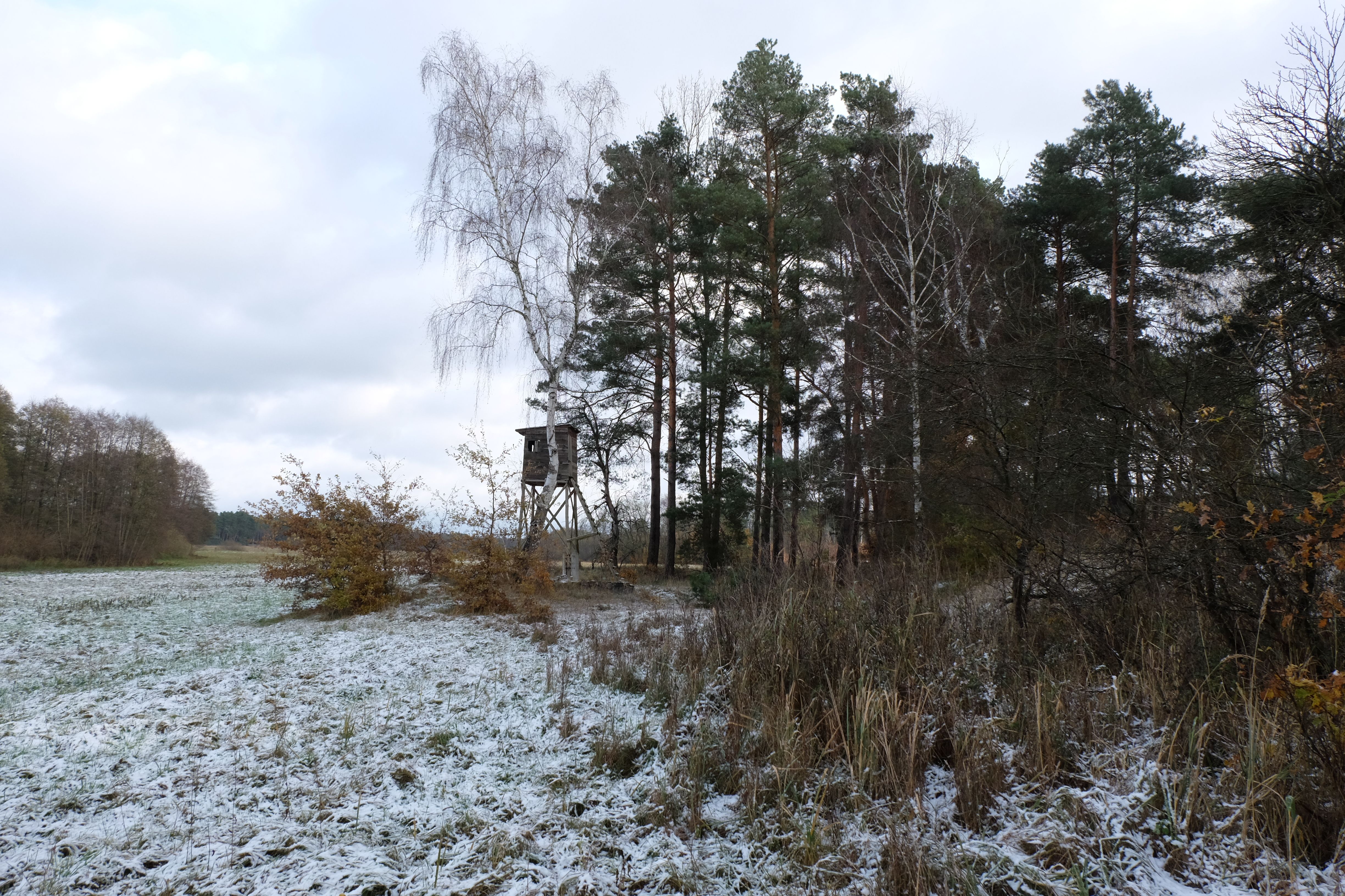 Paisaje Invernal Con Torre De Observación Forestal · Foto de stock gratuita