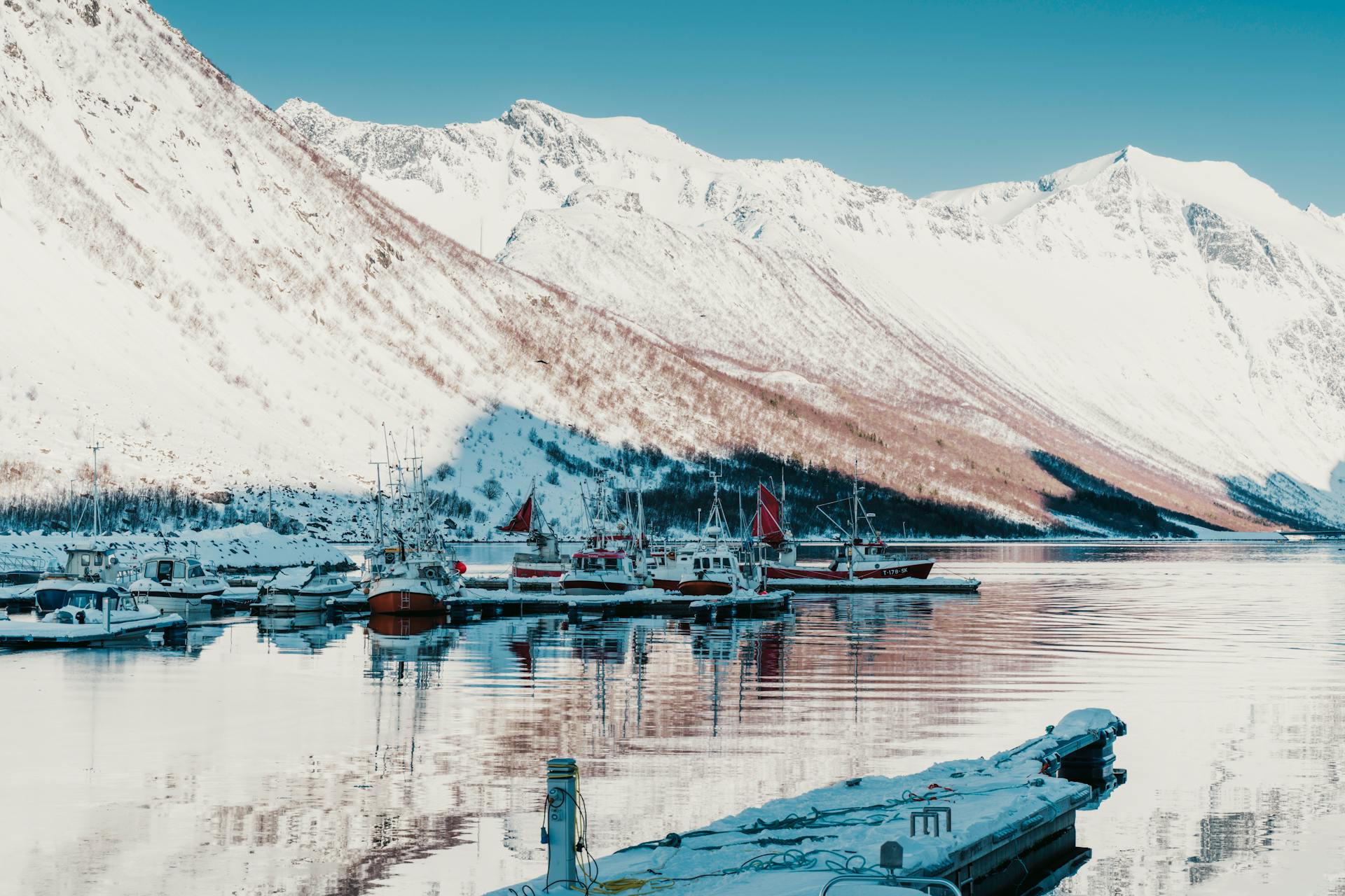 Serene view of boats docked in an Arctic harbor surrounded by snow-covered mountains.