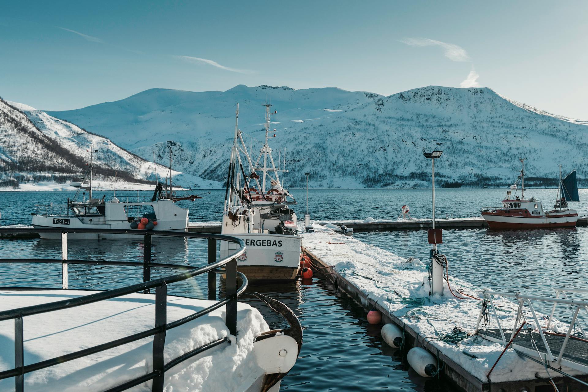Free stock photo of 4k, arctic bay, arctic harbour