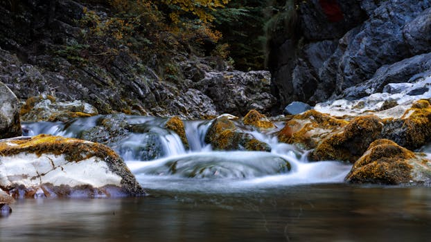 秋色中，宁静的瀑布流过郁郁葱葱森林里的岩石