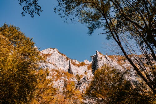Foto Sudut Rendah Puncak Gunung Tebing Batu Abu Abu