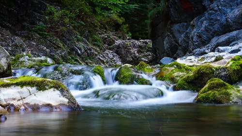 Water Flowing Down  On Mossy Rock,