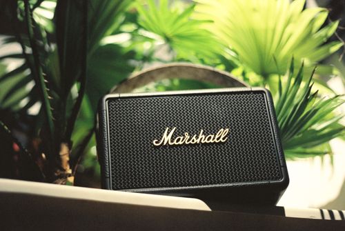 Free A sleek black Marshall speaker sits surrounded by vibrant green foliage, showcasing a blend of technology and nature. Stock Photo
