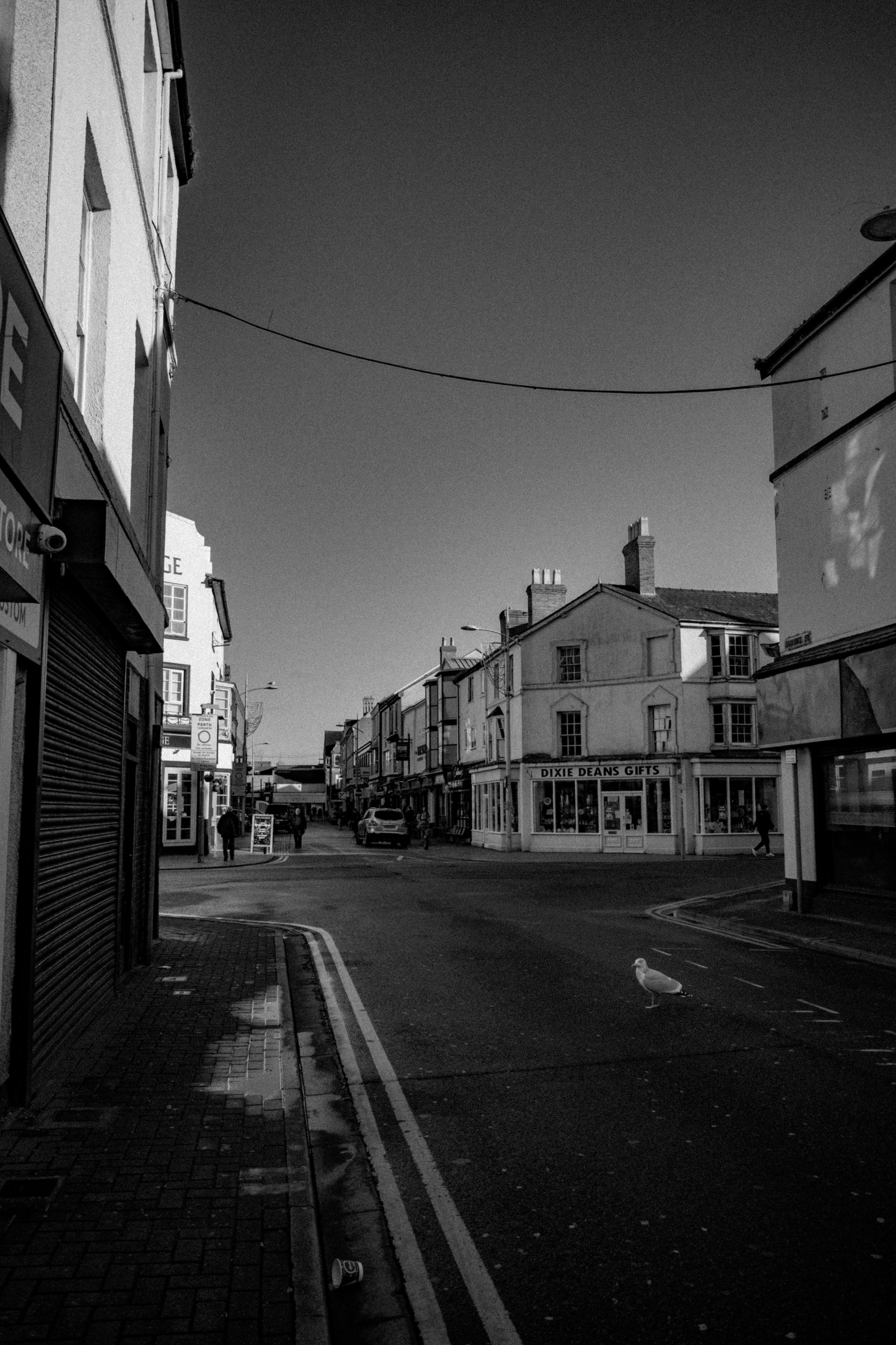 Black and white image of a serene urban street with old buildings and a seagull.