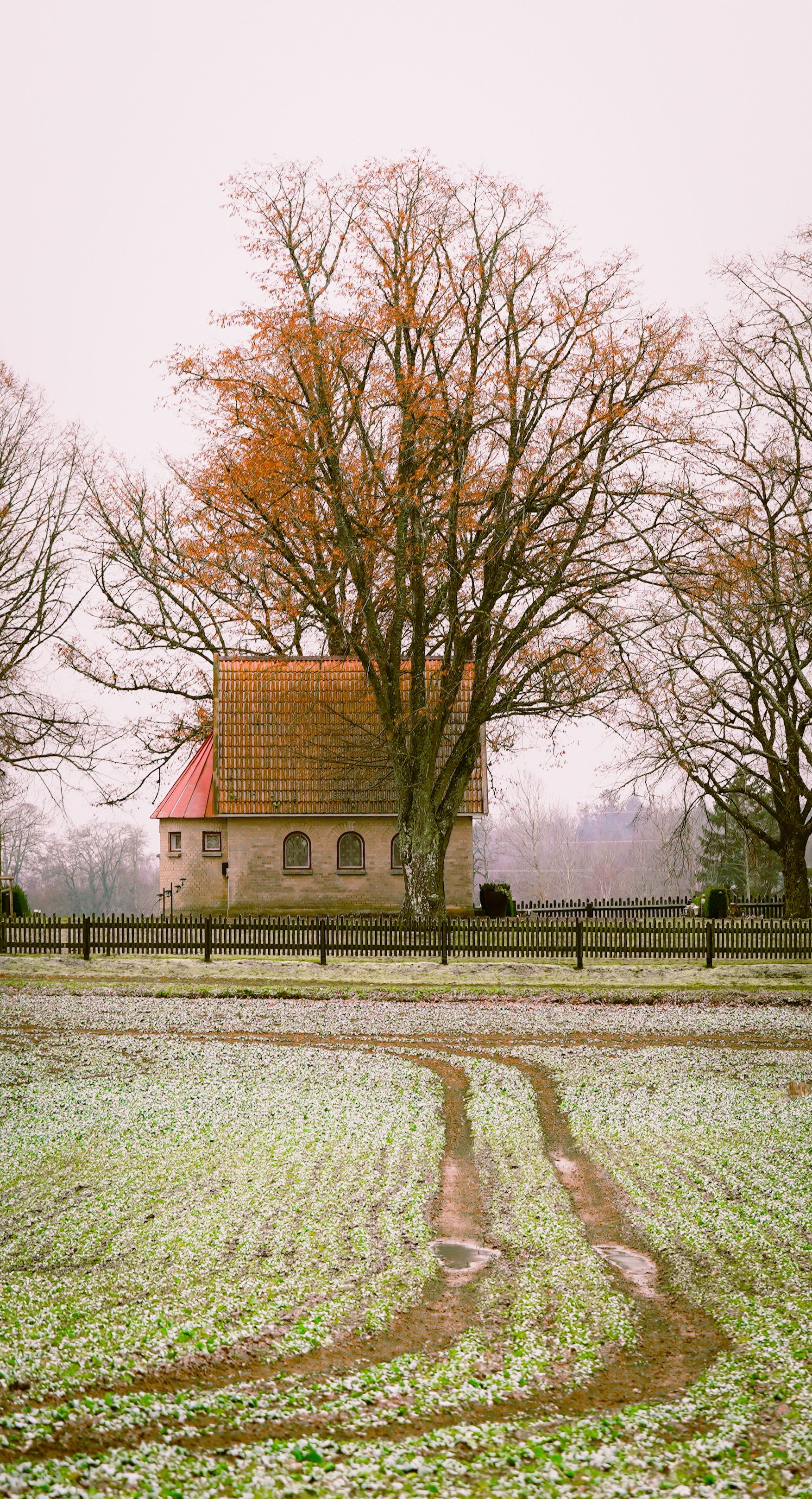 A picturesque countryside scene featuring a quaint house surrounded by frosty fields and bare trees.