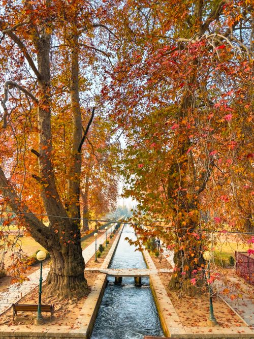 Free Picturesque canal flanked by autumn trees, showcasing vibrant fall foliage. Stock Photo