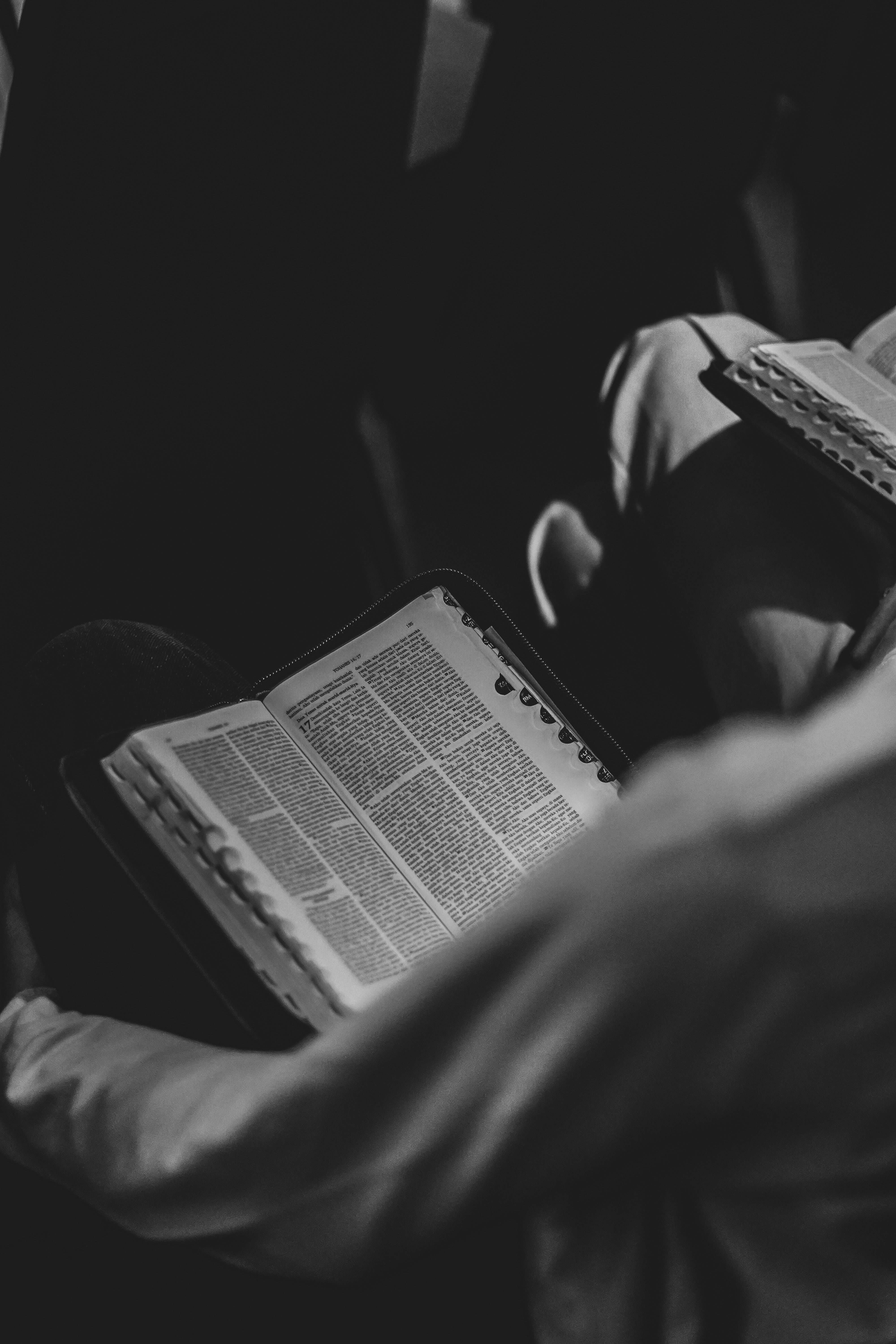 Bible study romans photos download the best free bible study romans