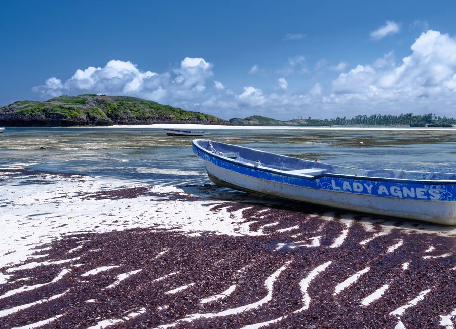 Tranquil beach scene featuring a traditional boat on the shores of Watamu, Kenya.