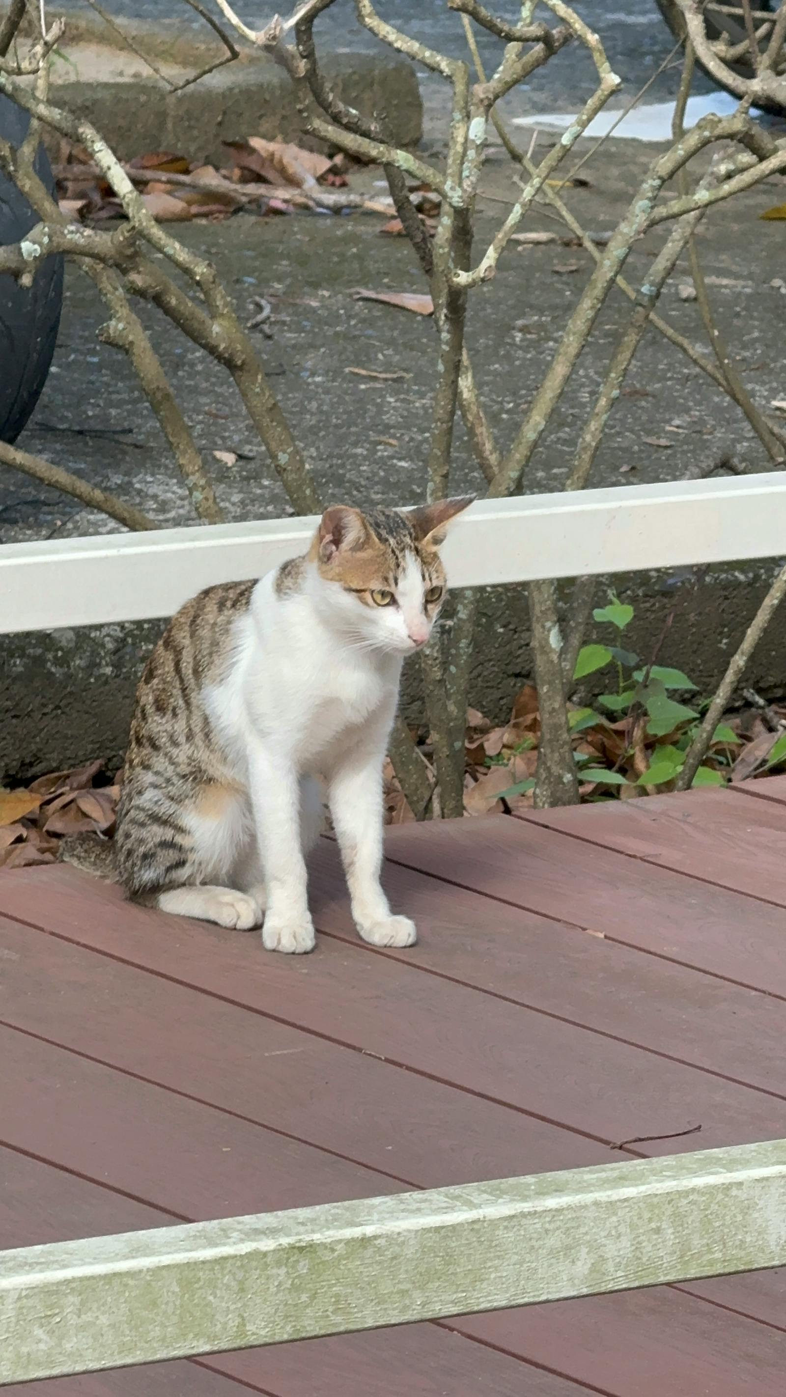 Eerie abandoned corridor with arched windows